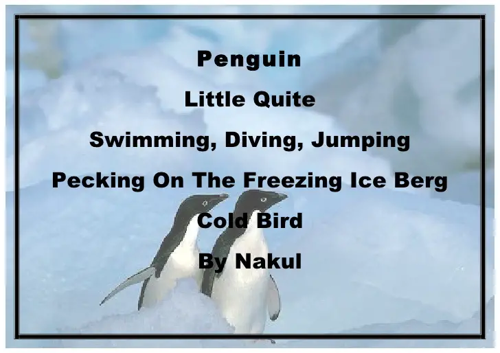 Quite little. Penguin poem. Cinquain in English. Penguin's poems by Heart. Cinquain Science.