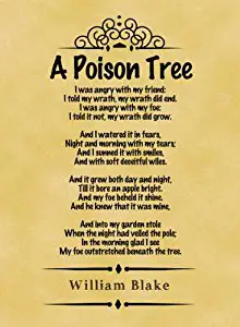Poison перевод на русский песня. Poison Tree William Blake. Ядовитое дерево Уильям Блейк. Poison Tree poem. Уильям Блейк ядовитое дерево стих.
