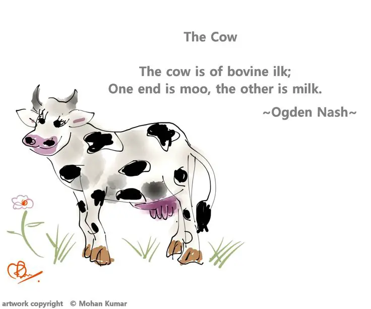 The Cow by Ogden Nash, Poetry, Pinterest. 
