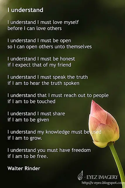 Understand Poems