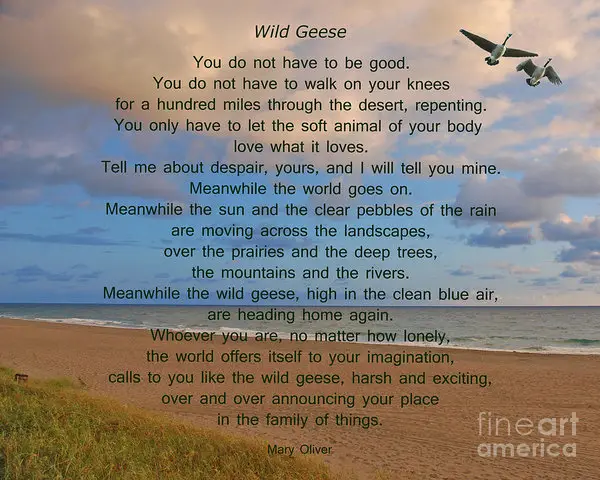 Geese Poems
