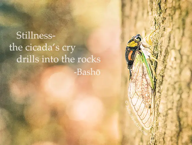 Basho Haiku Poems