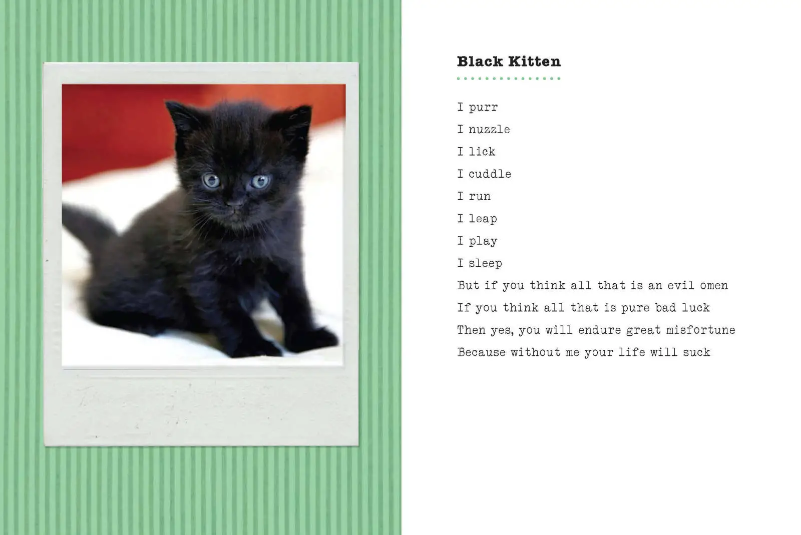 Главная мысль стихотворения котенок. Black Cat poem. Акростих про котёнка. Poems about Cats. Черные котята по возрасту.