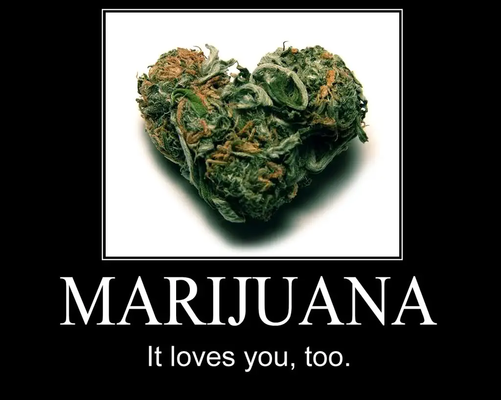Текст любовь и марихуана tor browser download for windows 7 gidra