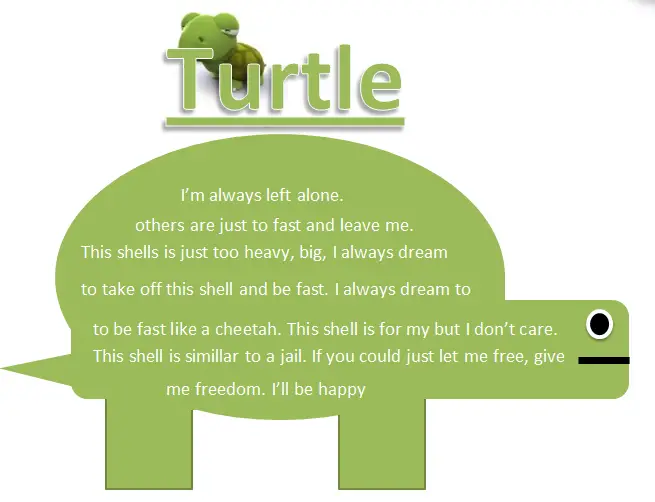 A tortoise can перевод. Turtle poem. Стихи про Turtle на английском. Turtle facts for Kids. Fact about Turtle.