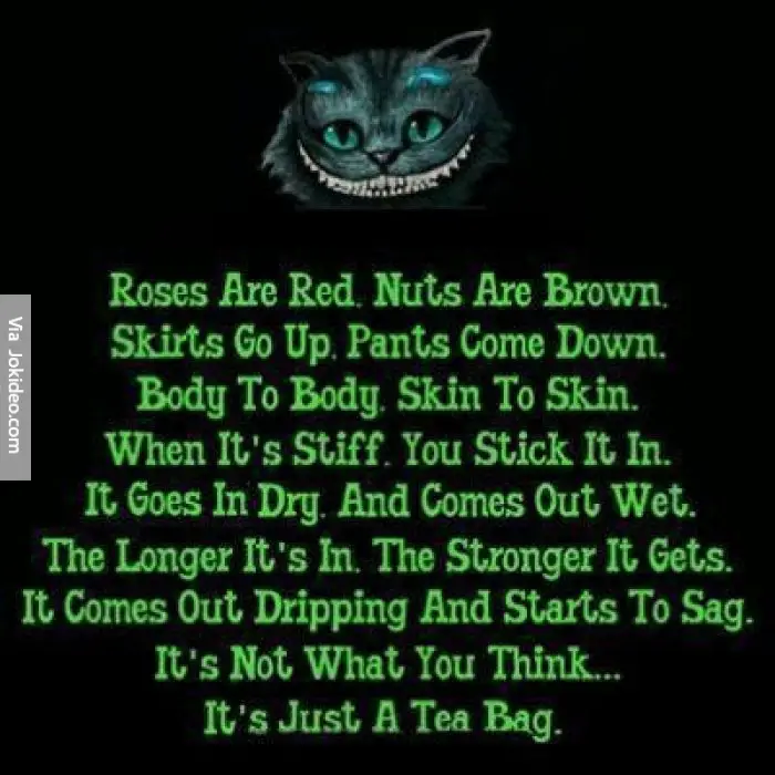 Funny Dirty Poems