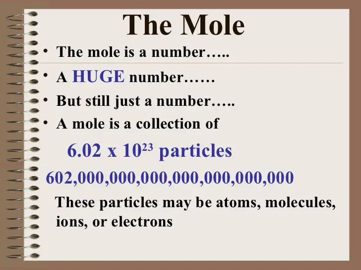 Mole Poems