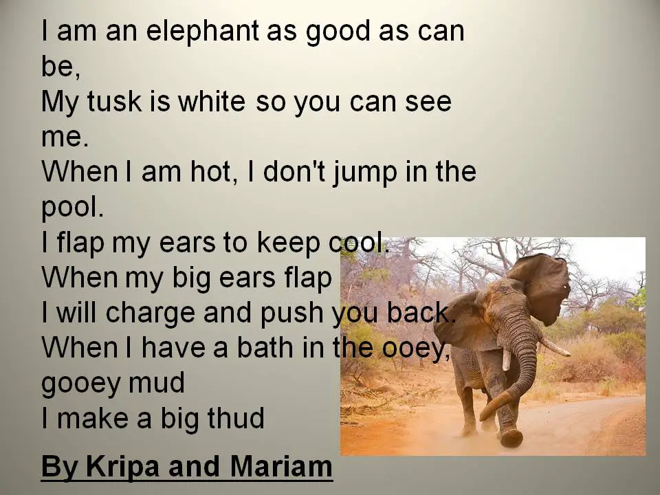 Elephant перевод с английского. Poems about Elephants. Elephant poem. About Elephant for Kids. Elephant poem for Kids.