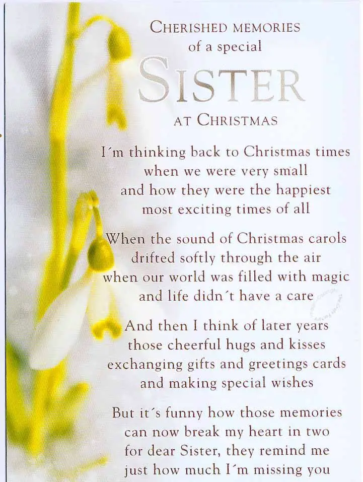 Funny Sister Poems