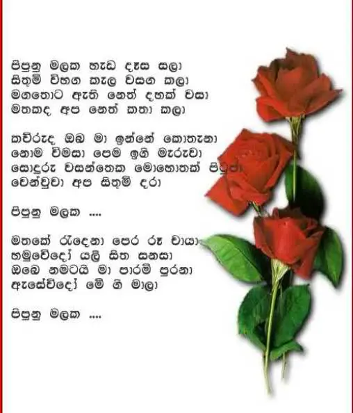 happy valentine day sinhala poems