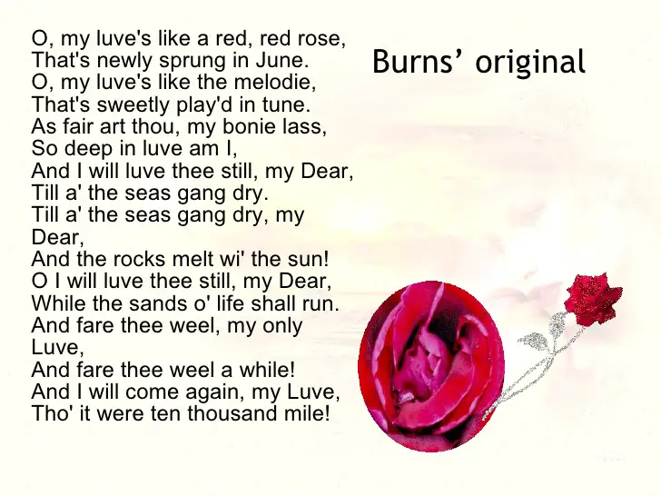 She likes red. Red Red Rose Robert Burns текст. Стих a Red Red Rose. O my Love is like a Red Red Rose стих.