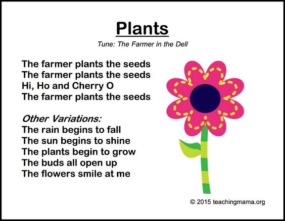 Plants Poems