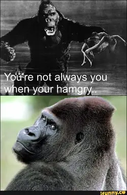 Gorilla Poems