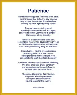 Patience – stepsandpauses