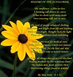 Sunflower Poems