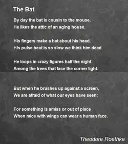 Bat Poems
