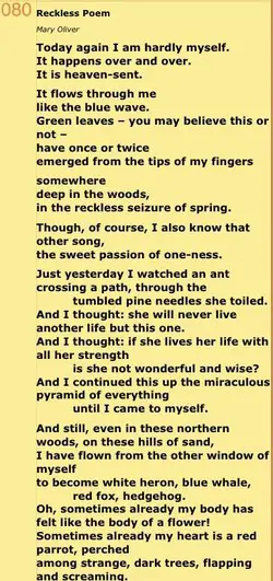 Mary oliver love Poems