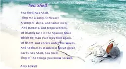 seashell poems
