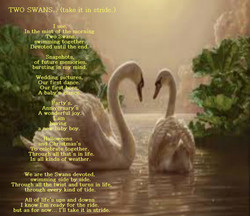 Swan Poems